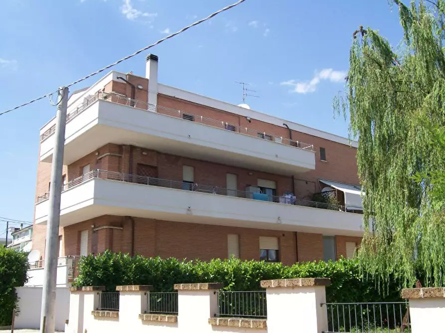 Immagine 4 di Appartamento in vendita  a Cepagatti