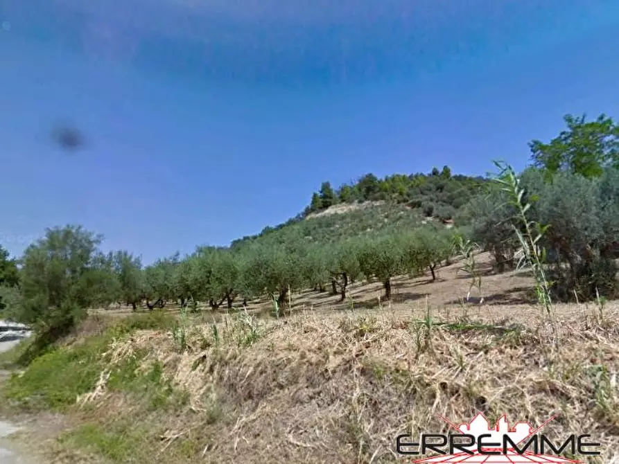 Immagine 1 di Terreno edificabile in vendita  a Rosciano