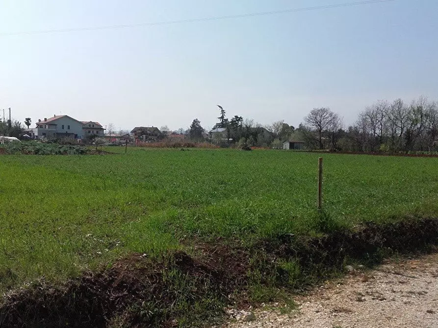 Immagine 2 di Terreno edificabile in vendita  a Cepagatti