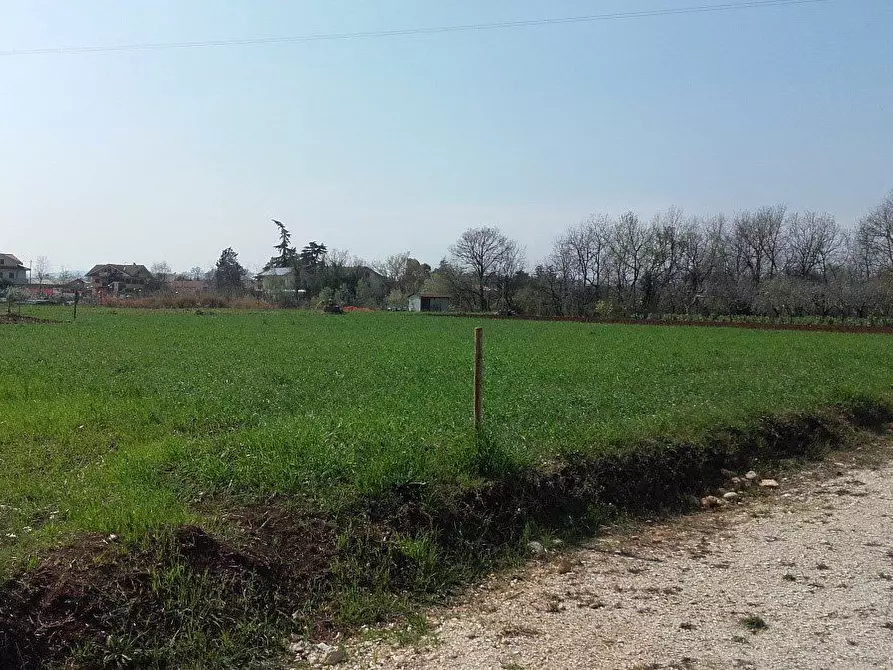 Immagine 3 di Terreno edificabile in vendita  a Cepagatti