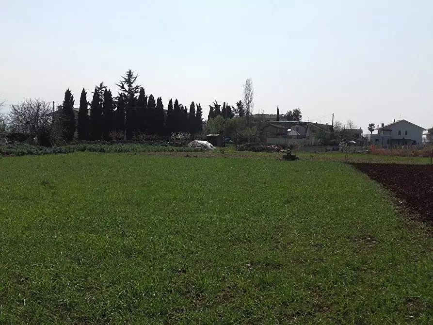 Immagine 8 di Terreno edificabile in vendita  a Cepagatti