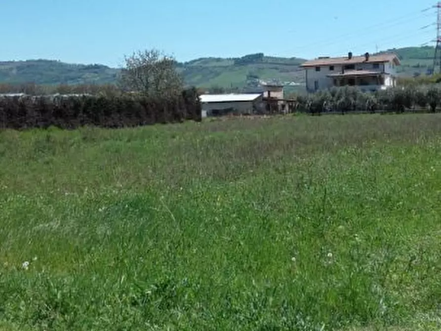 Immagine 4 di Terreno edificabile in vendita  a Cepagatti