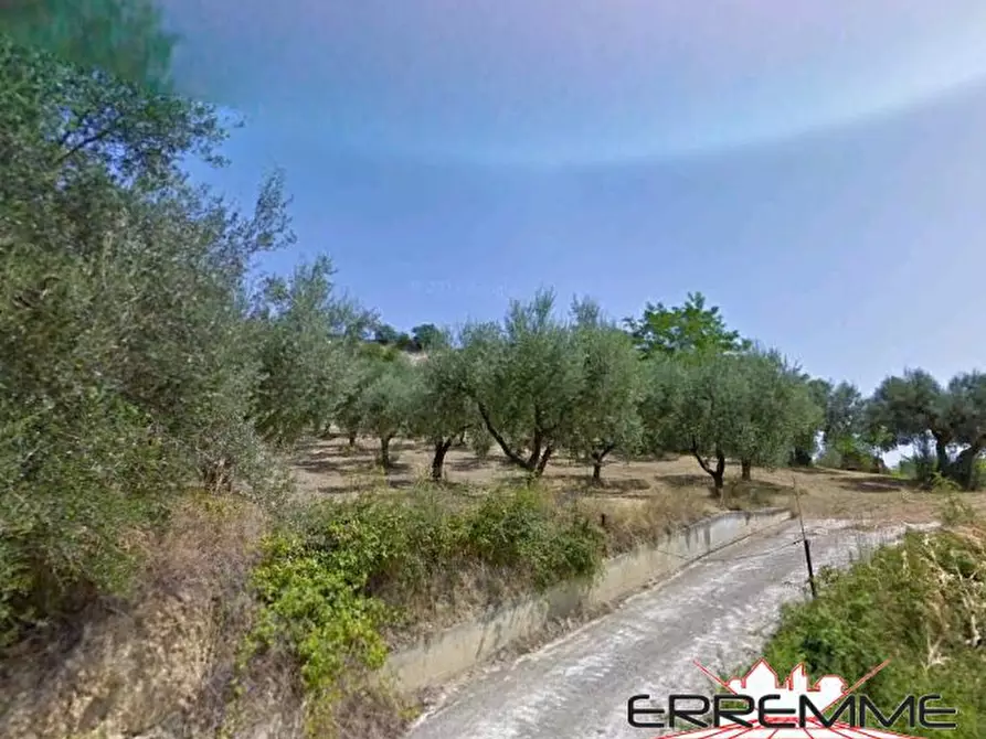 Immagine 2 di Terreno edificabile in vendita  a Rosciano