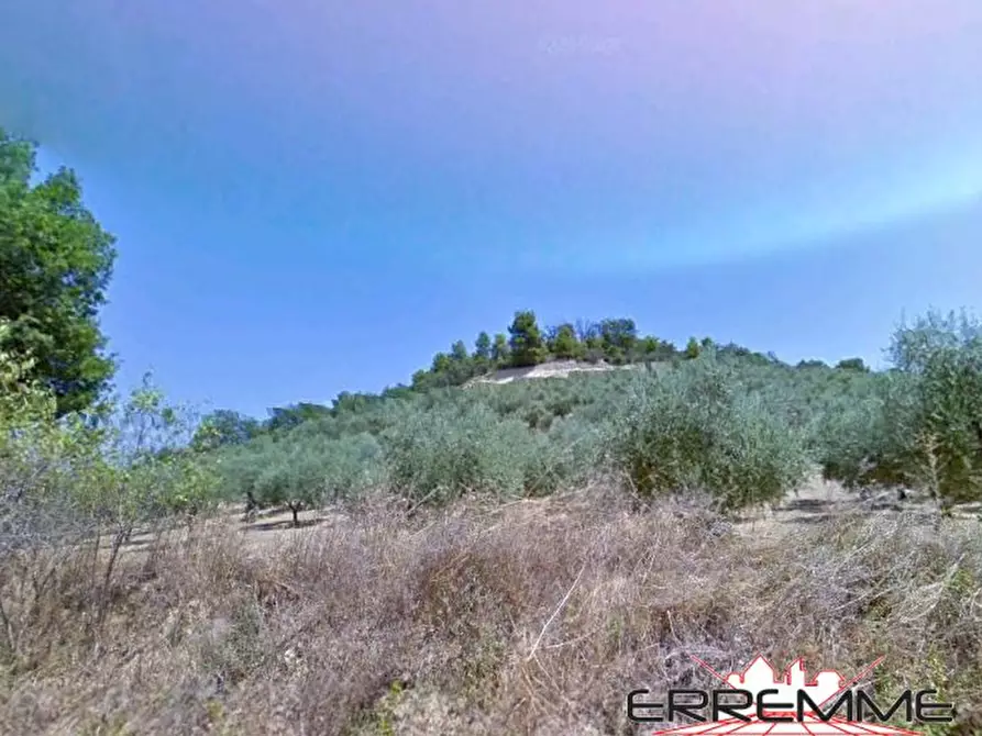 Immagine 3 di Terreno edificabile in vendita  a Rosciano