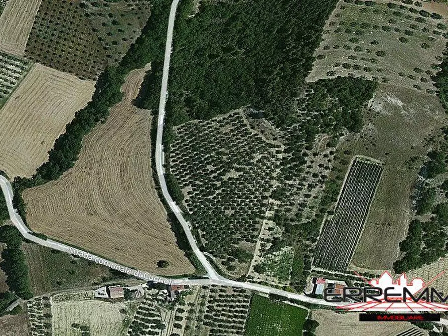 Immagine 4 di Terreno edificabile in vendita  a Rosciano