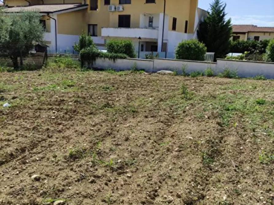 Immagine 5 di Terreno edificabile in vendita  a Pianella