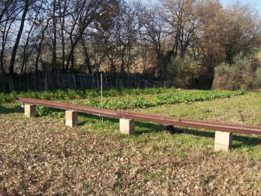 Immagine 3 di Terreno edificabile in vendita  a Cepagatti