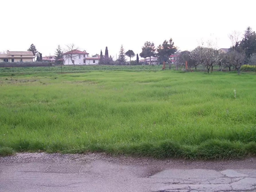 Immagine 4 di Terreno edificabile in vendita  a Cepagatti