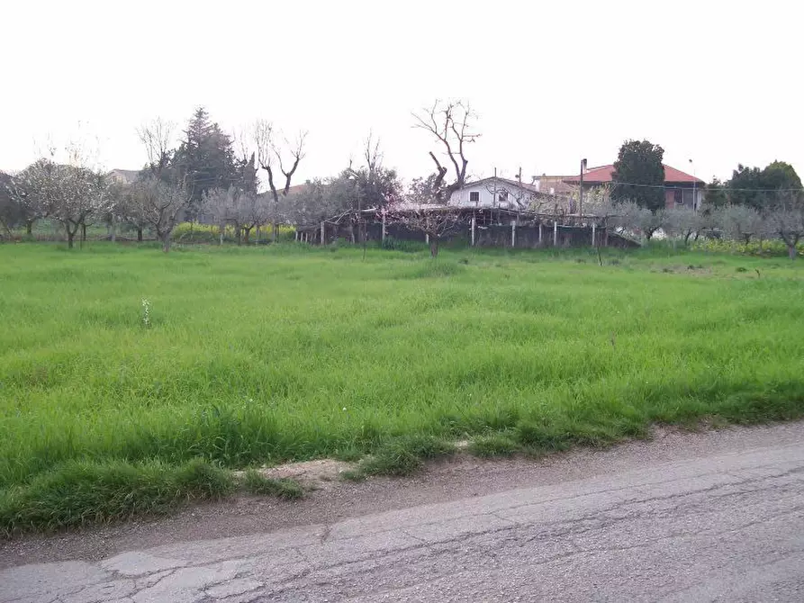 Immagine 5 di Terreno edificabile in vendita  a Cepagatti