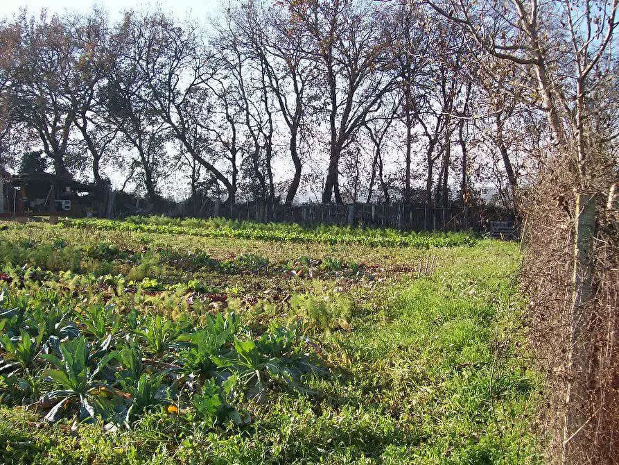 Immagine 1 di Terreno edificabile in vendita  a Cepagatti