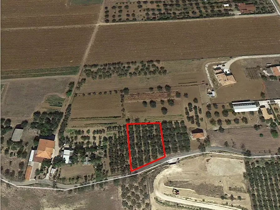 Immagine 1 di Terreno edificabile in vendita  a Cepagatti