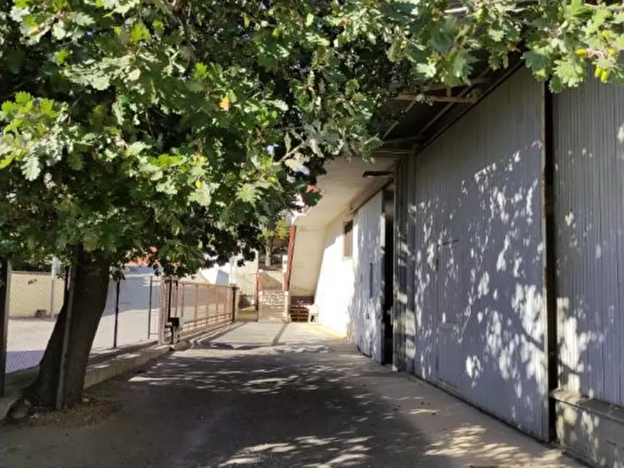 Immagine 5 di Magazzino in vendita  a Rosciano