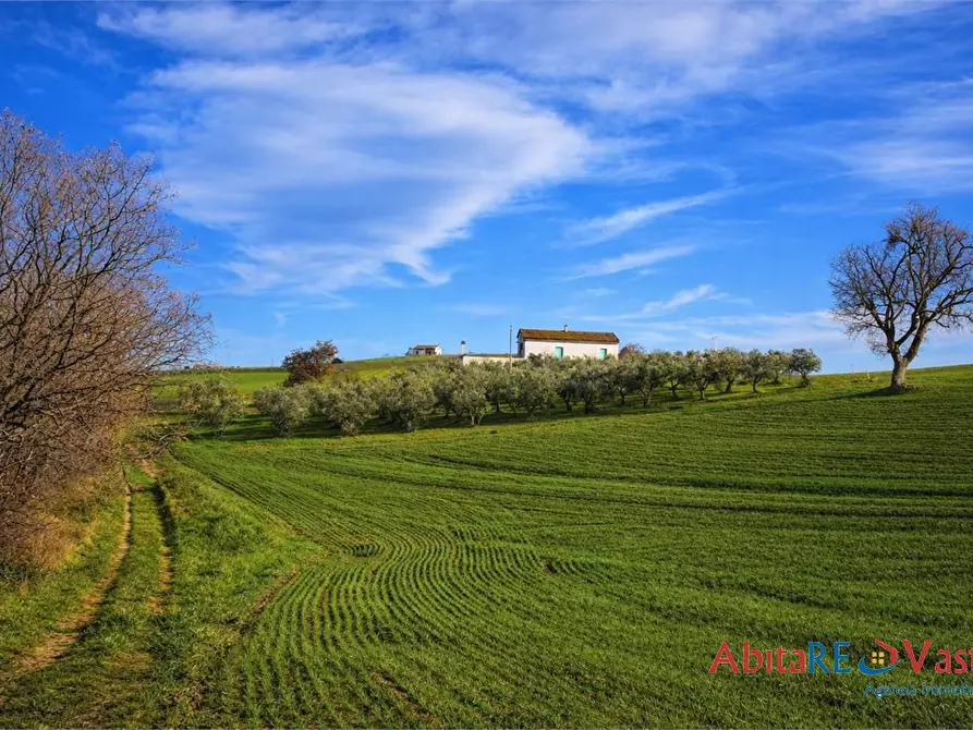 Immagine 1 di Rustico / casale in vendita  M a Montenero Di Bisaccia
