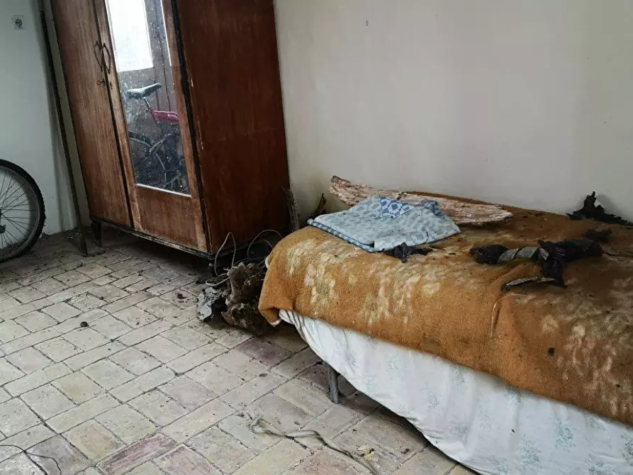 Immagine 10 di Rustico / casale in vendita  56 a Castel Frentano