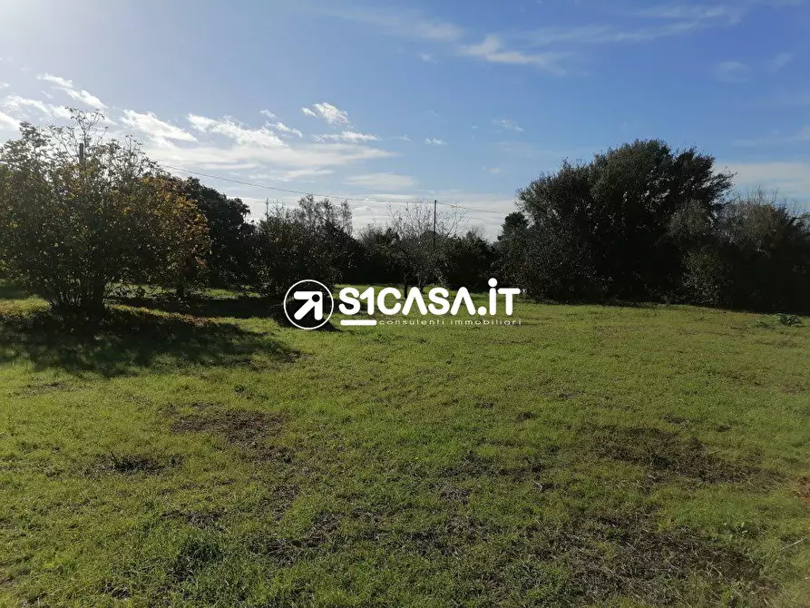 Immagine 6 di Terreno in vendita  a Galatone