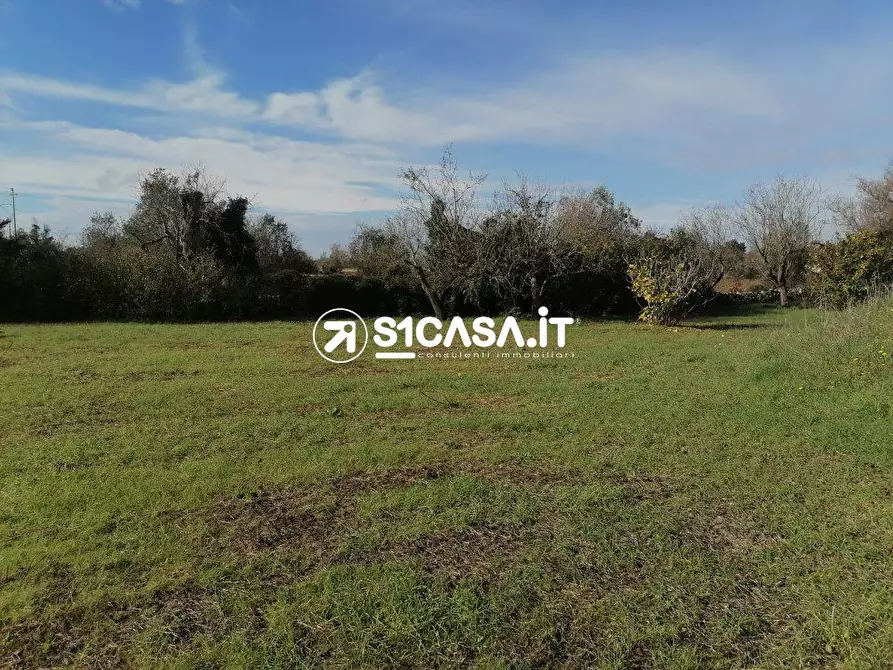 Immagine 5 di Terreno in vendita  a Galatone