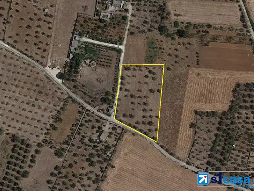 Immagine 1 di Terreno in vendita  a Galatone