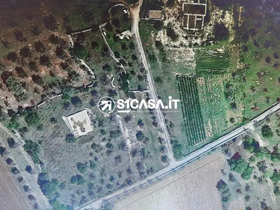Immagine 2 di Terreno in vendita  a Galatone