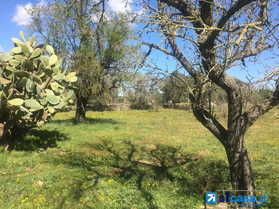 Immagine 9 di Terreno in vendita  a Galatina