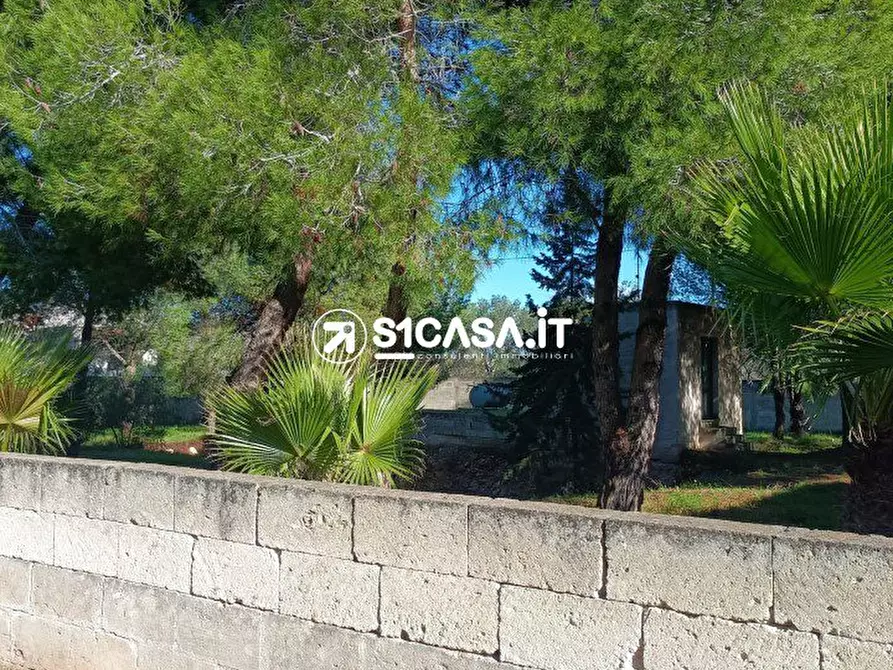 Immagine 6 di Terreno in vendita  a Galatone