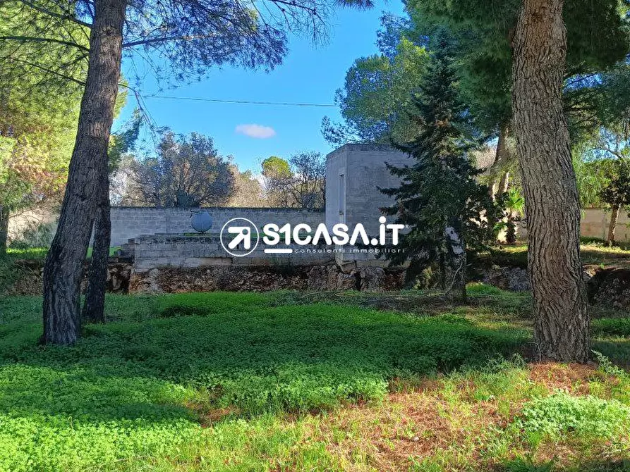 Immagine 2 di Terreno in vendita  a Galatone