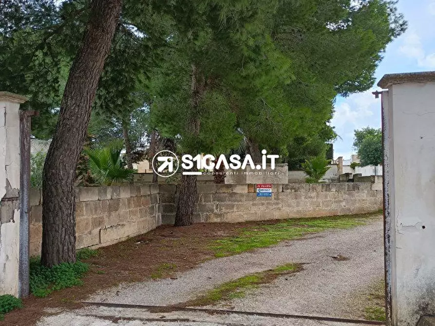 Immagine 7 di Terreno in vendita  a Galatone