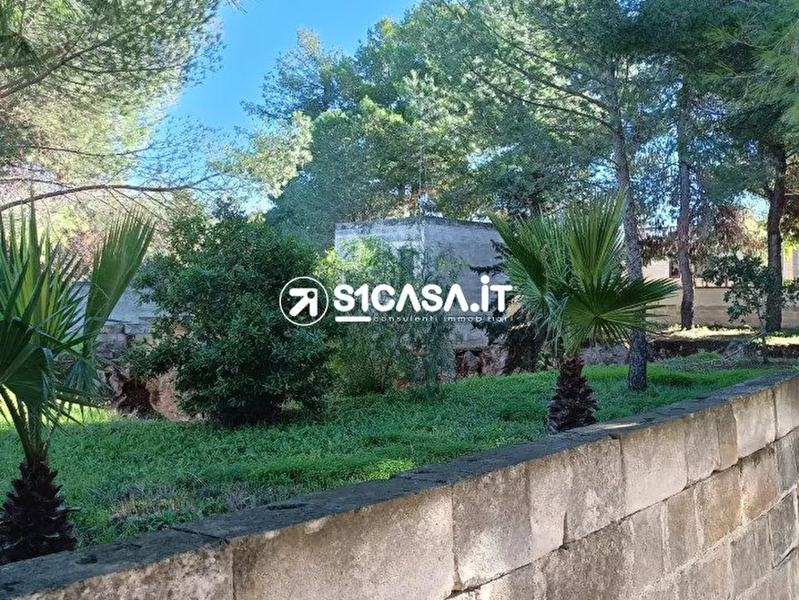 Immagine 5 di Terreno in vendita  a Galatone