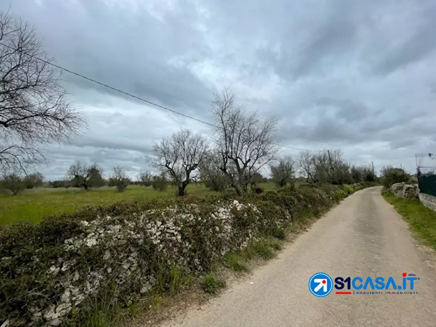 Immagine 5 di Terreno in vendita  a Galatone
