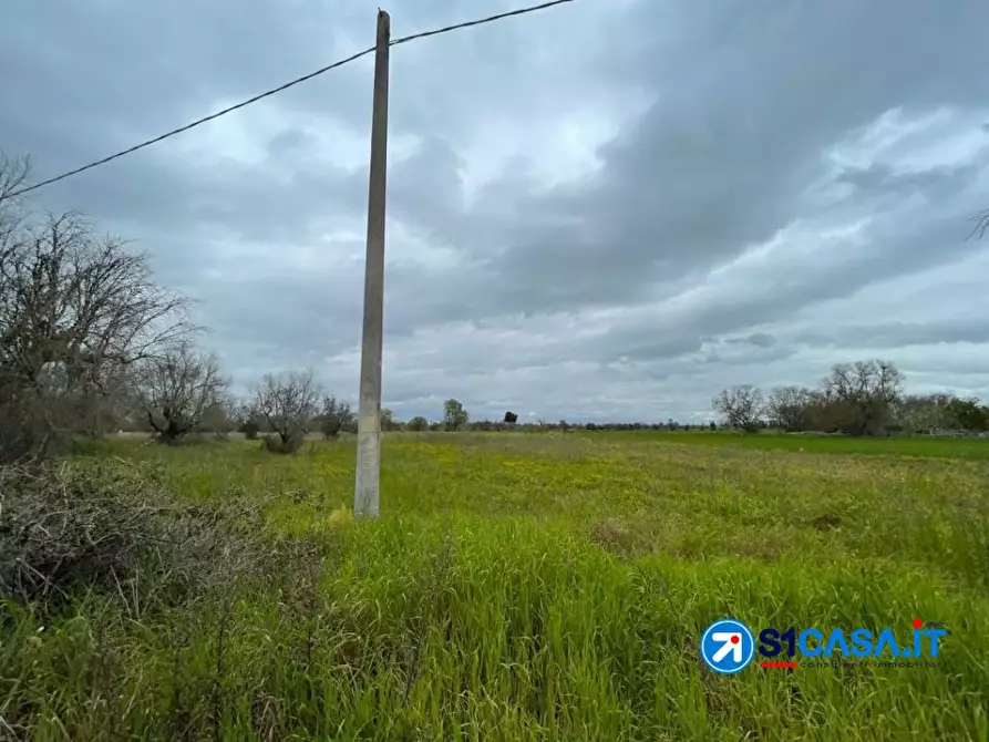 Immagine 8 di Terreno in vendita  a Galatone
