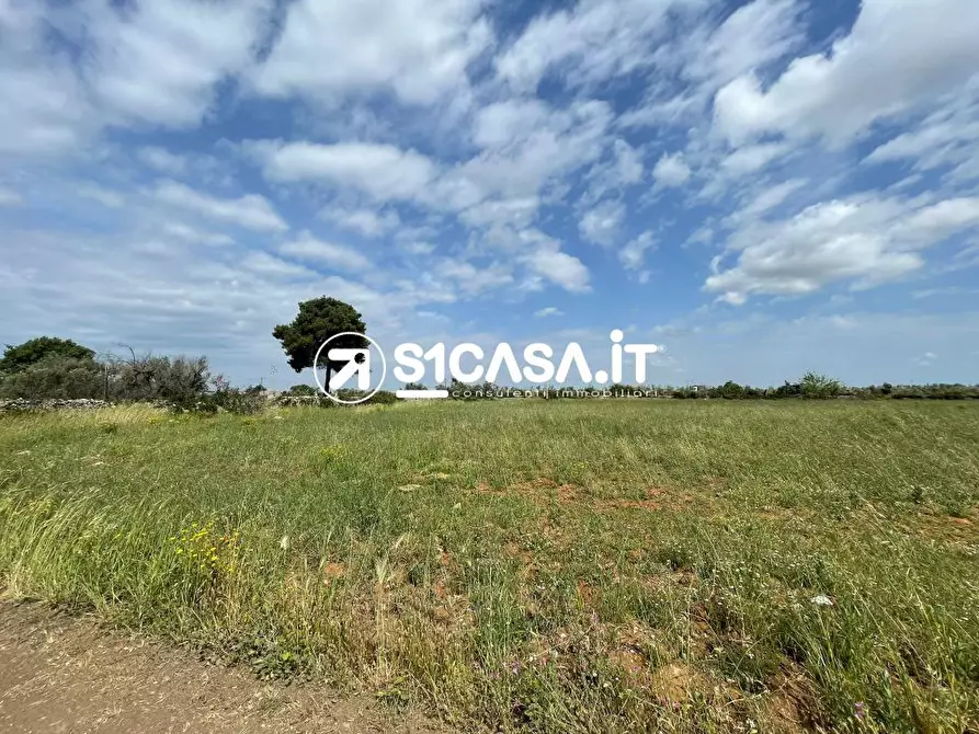 Immagine 4 di Terreno in vendita  a Galatone