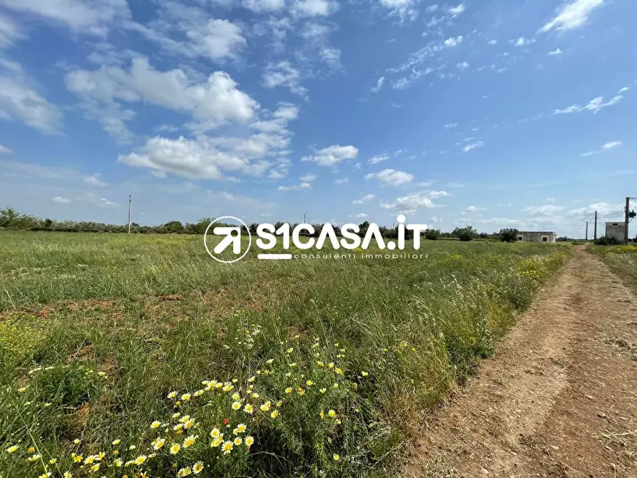 Immagine 3 di Terreno in vendita  a Galatone