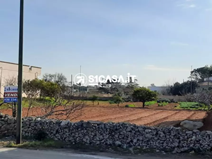 Immagine 2 di Terreno edificabile in vendita  a Galatone