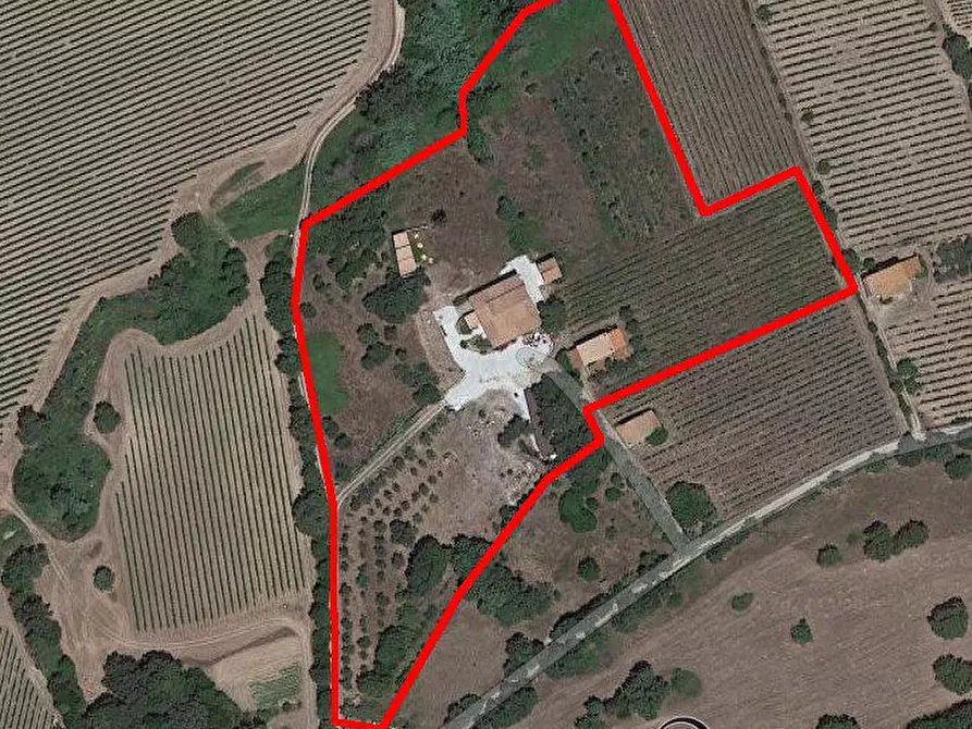 Immagine 9 di Agriturismo in vendita  a Olbia