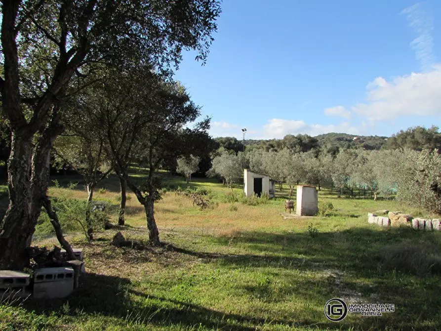 Immagine 8 di Agriturismo in vendita  a Olbia