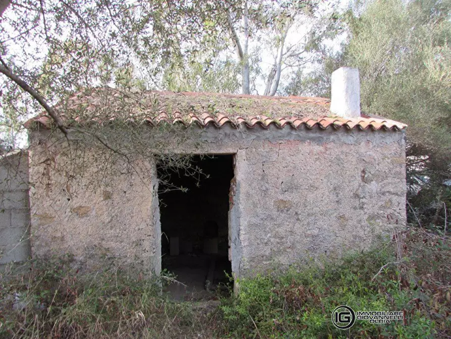 Immagine 5 di Terreno edificabile in vendita  a Olbia