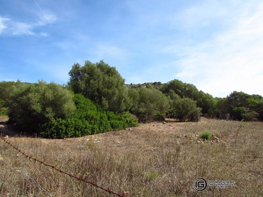 Immagine 5 di Terreno in vendita  a Olbia