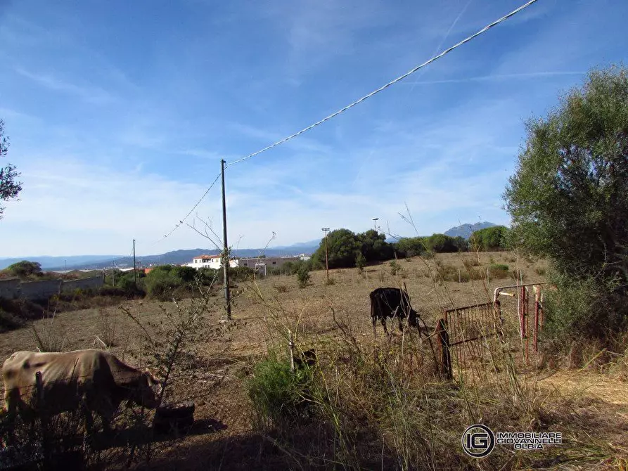 Immagine 3 di Terreno in vendita  a Olbia