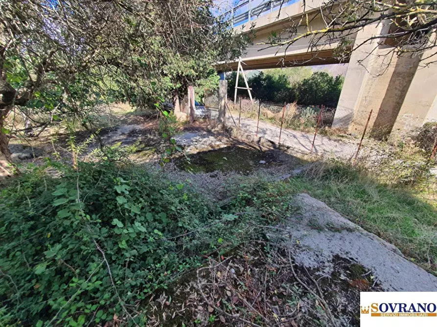 Immagine 8 di Villa in vendita  a Monreale