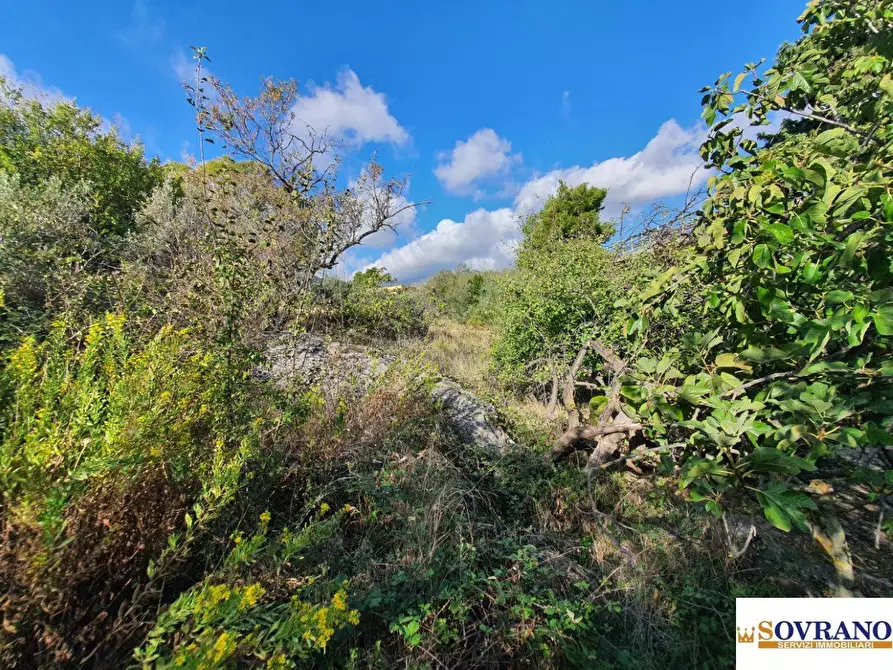 Immagine 9 di Villa in vendita  a Monreale