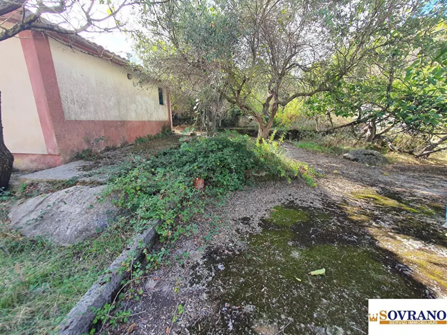 Immagine 3 di Villa in vendita  a Monreale