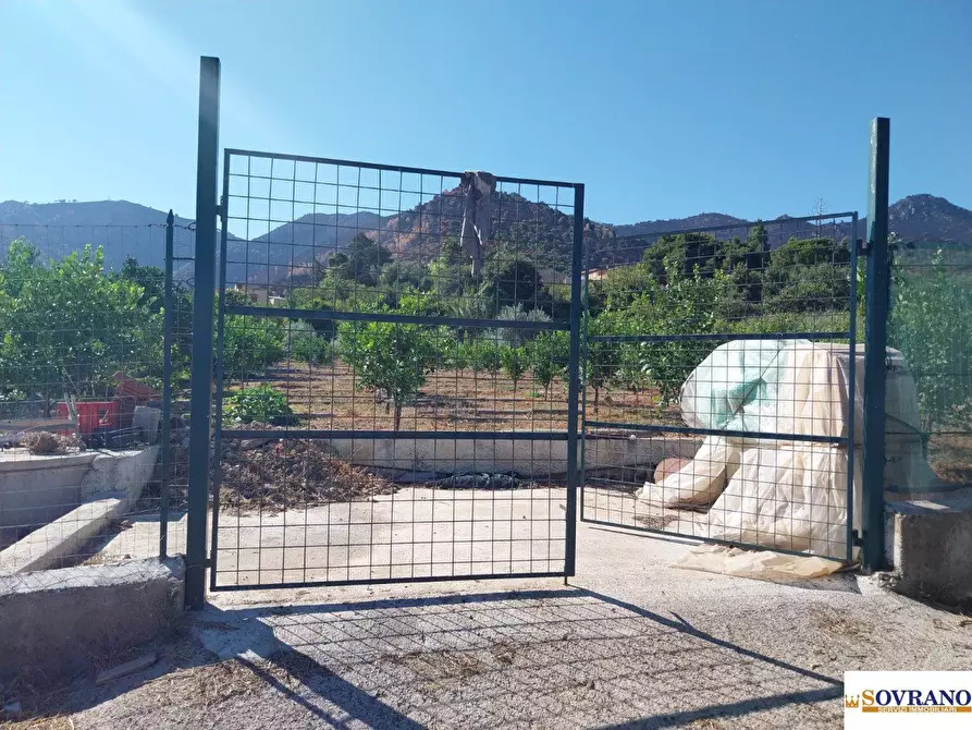 Immagine 1 di Terreno in vendita  40 a Palermo