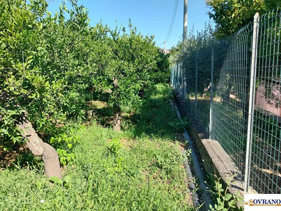 Immagine 2 di Terreno in vendita  40 a Palermo