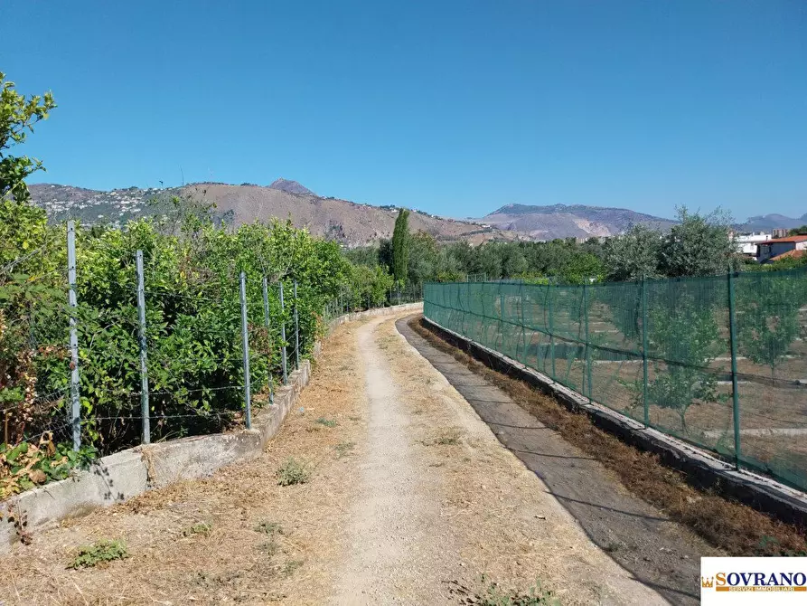 Immagine 8 di Terreno in vendita  40 a Palermo
