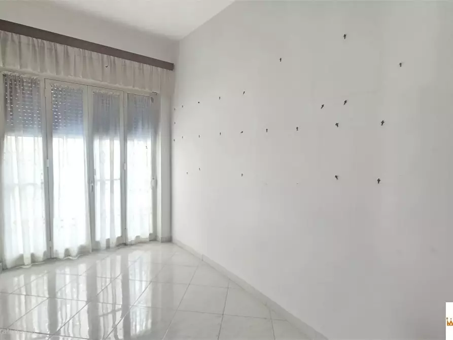 Immagine 5 di Appartamento in affitto  2/b a Palermo