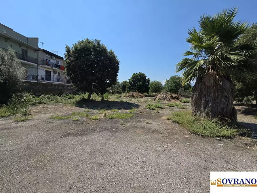 Immagine 4 di Terreno in affitto  a Palermo