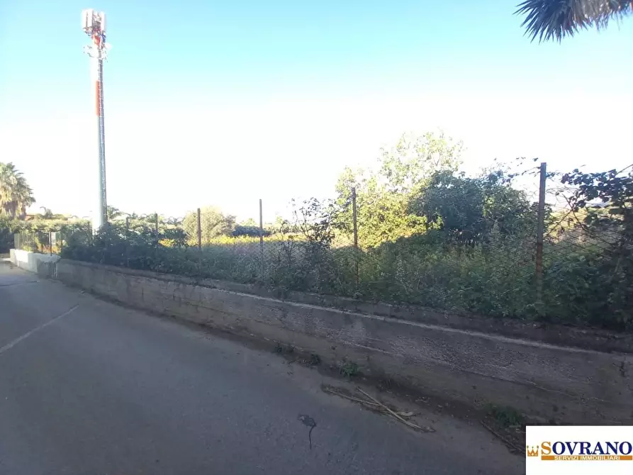 Immagine 7 di Terreno in affitto  408 a Carini