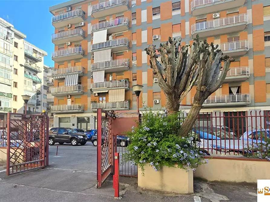 Immagine 2 di Appartamento in vendita  a Palermo