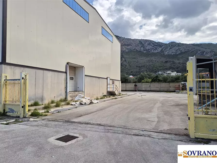 Immagine 4 di Capannone industriale in vendita  a Capaci