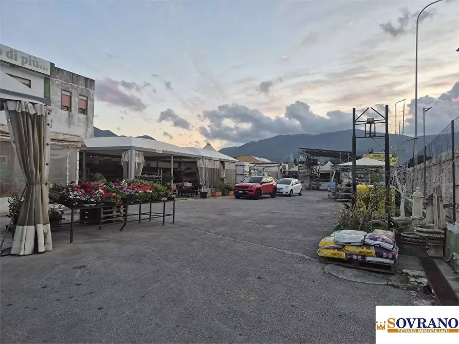 Immagine 4 di Capannone industriale in vendita  a Carini