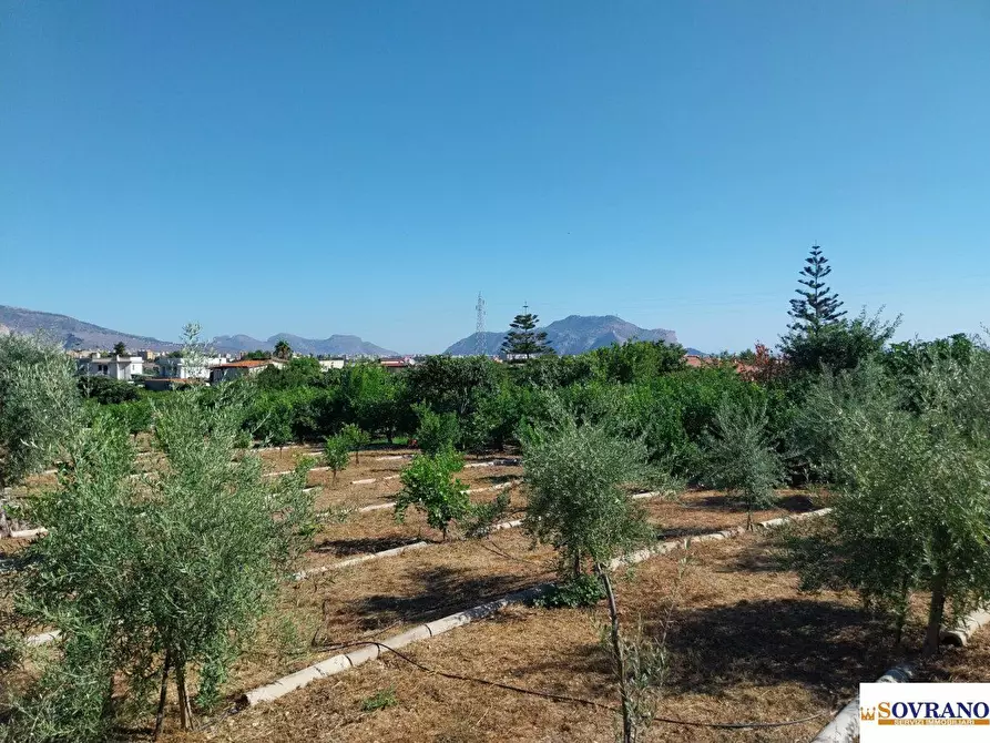 Immagine 9 di Terreno in vendita  40 a Palermo